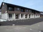 ペット共生賃貸物件 ペット共生賃貸物件