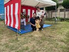 ご挨拶も大切。 ご挨拶も大切。