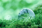 JIC Environmental Wo... Sustainability