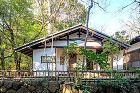 中村研一記念小金井市立はけの森美術館 茶... 中村研一記念 小金井市立はけの森美術館茶...