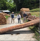 ????????????????????... IMG_9850