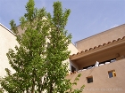 Modern SANTA FE | ネイ... https://www.nature-decor.com/wp-content/uploads/import/works/20120925/000053049.jpg