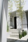 MIX modern House | ネ...
