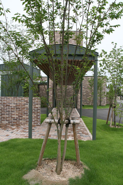 WORKS│新谷建築設計事務所