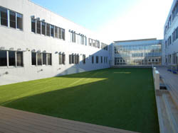 五戸小学校　中庭