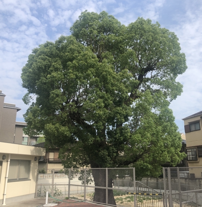 前