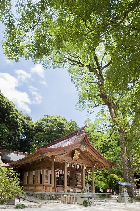 宝満宮 竈門神社