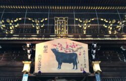 作品集 | 京都建築家設計事務所 ｜有限...