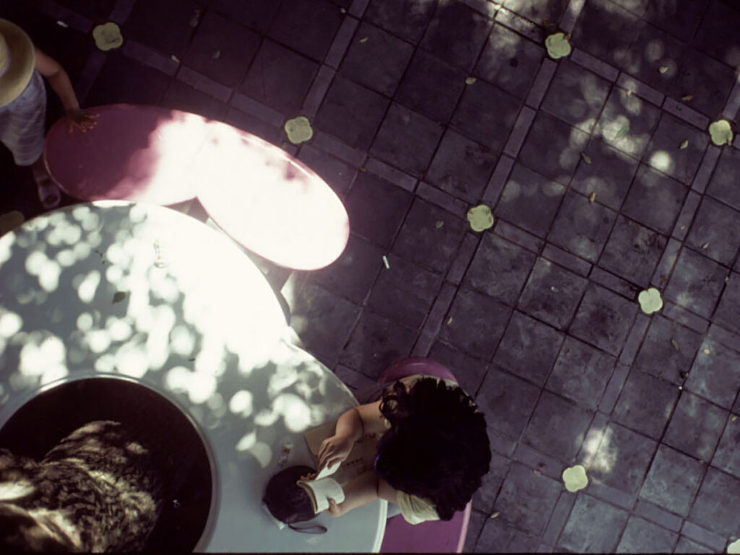 くすの木サロン 象設計集団