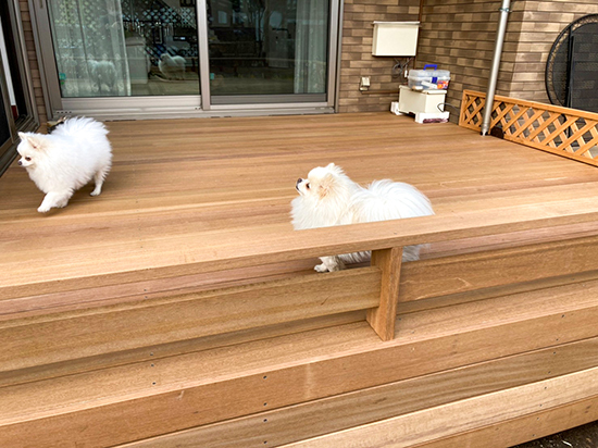 手すりの高さを低くしたウッドデッキ