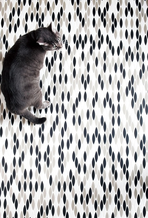 Perfume Line CATS EY...