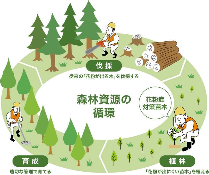 良質国産材の家 | 品質も、価格も、叶う...