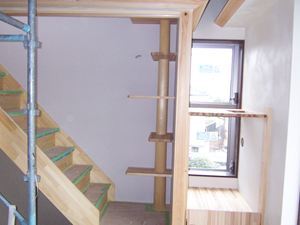 愛猫と暮らすの家（長期優良住宅） ヴァン...