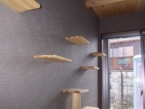 愛猫と暮らすの家（長期優良住宅） ヴァン...