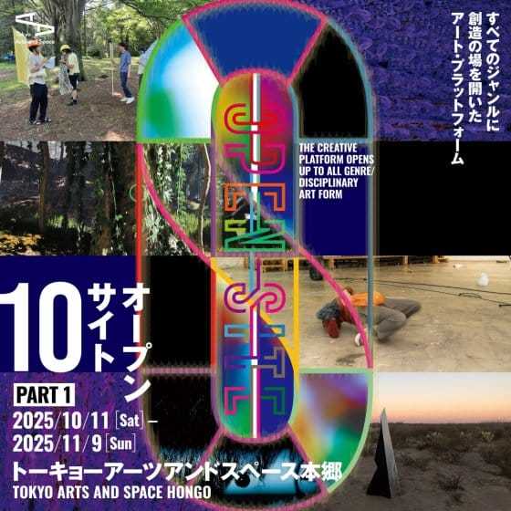 OPEN SITE 10