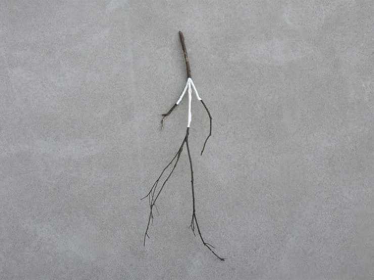 デザインの仮説と仮設　廣村正彰＋