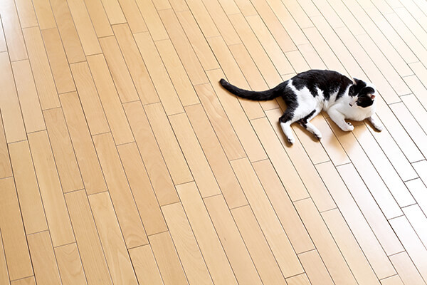 無垢の木材でくつろぎを感じる住まい