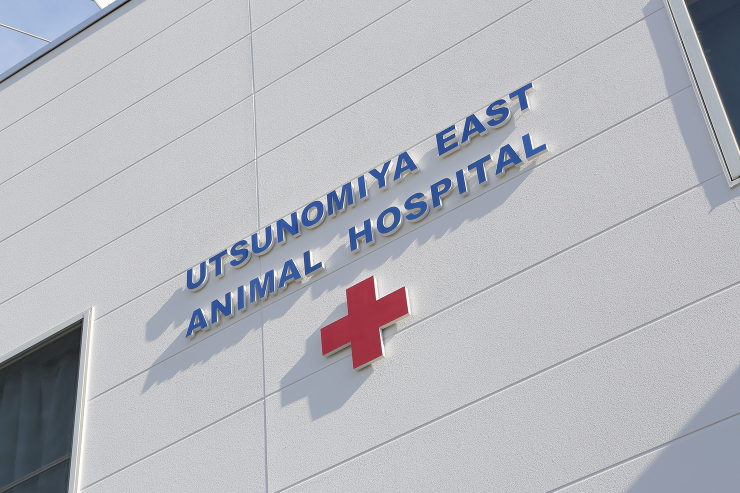 Works｜株式会社渡辺有規建築企画事務...