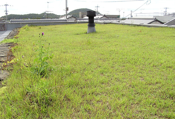 Villa Siena　草屋根 | 草屋...
