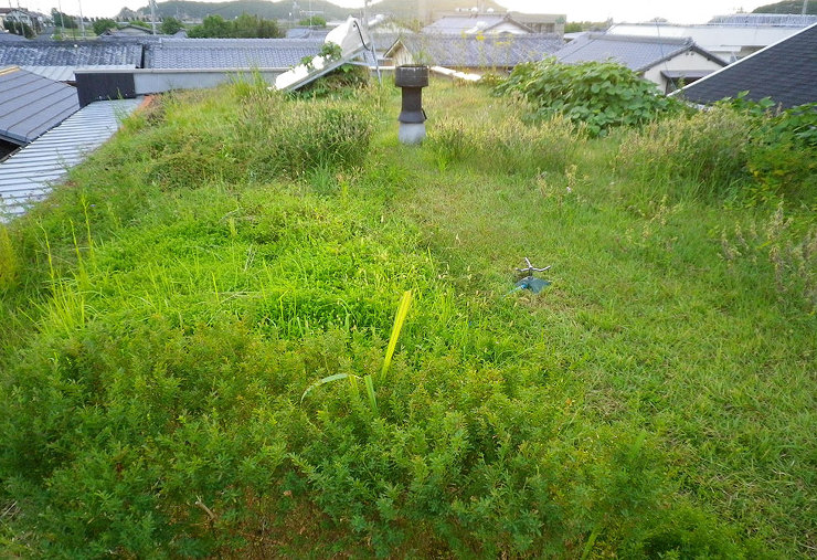 Villa Siena　草屋根 | 草屋...