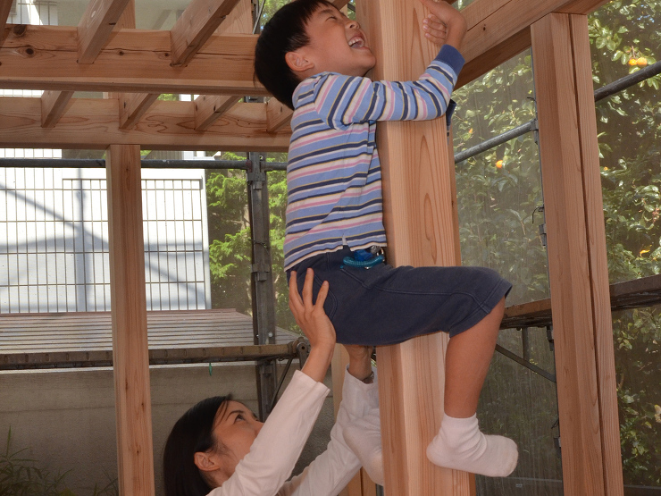 私たちが建てる木の家について - 木の家...