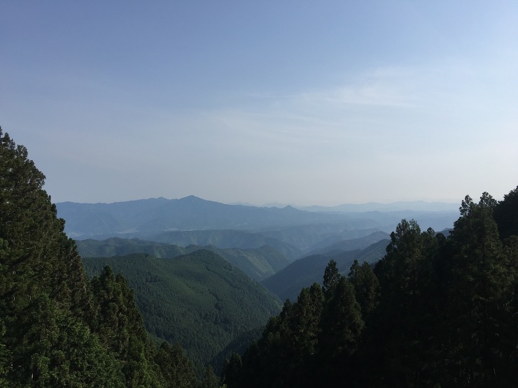 住む家で使う木材産地を選ぶ - 木の家(...