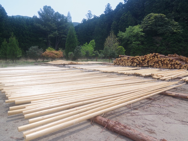 住む家で使う木材産地を選ぶ - 木の家(...