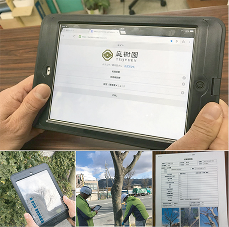 街路樹診断ソフト