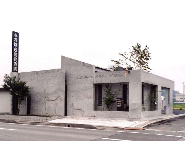 動物病院、清潔感や安心感のあるもてなしの空間を