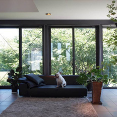 投稿 - FORUM - Page 3