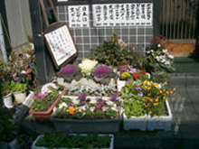 能登屋小庭ちゃん施工前