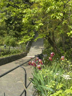 多摩川台公園整備工事
