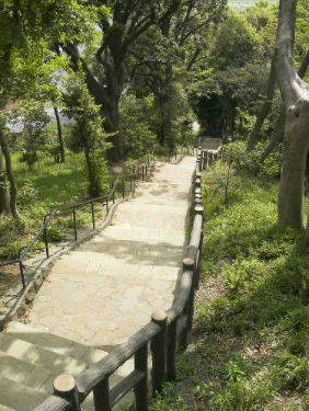 多摩川台公園整備工事