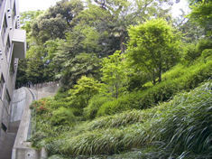 大田区立池上会館