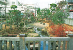 大田区立羽田小学校造園工事