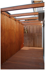 ネコと暮らす家