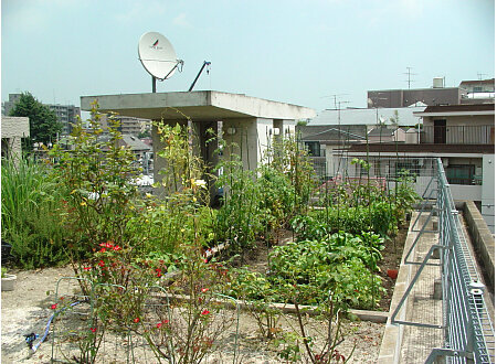 casa09