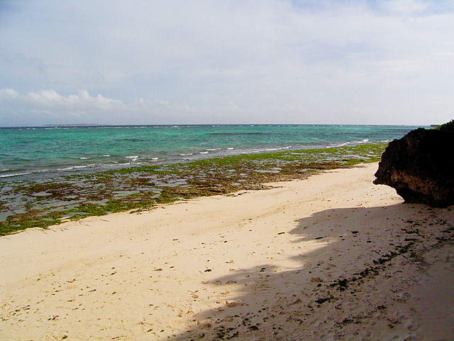 イエノイエ（沖縄の離島に建つ家）　村上建築設計室