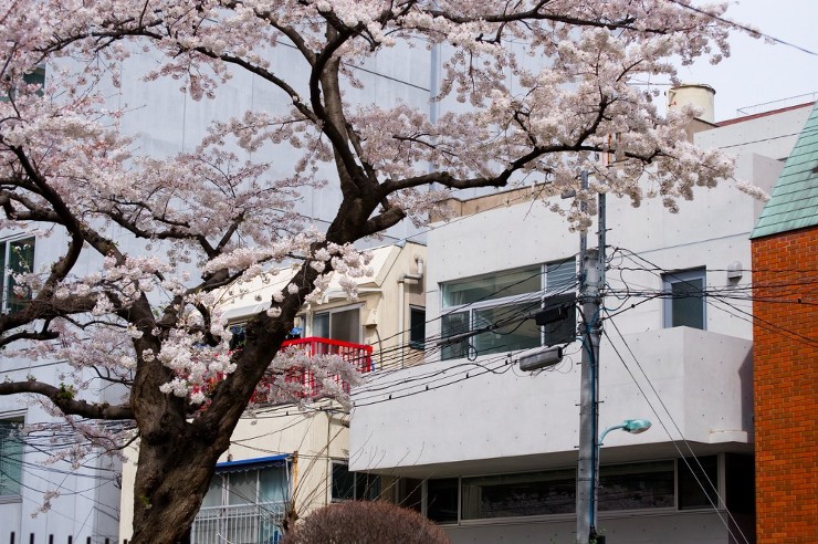 南麻布の二世帯住宅 - 株式会社ギルド・...