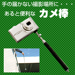 在庫処分品 / 【通販 激安ペイントツー...