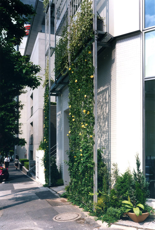 青山Kビル | Works | セルスペ...