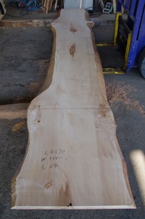 カウンター材｜丸萬(京都)｜一枚板_無垢...