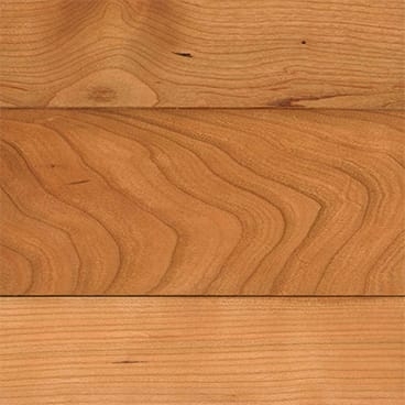 アメリカンチェリー