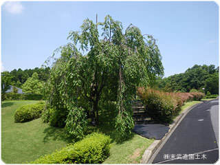 着工前