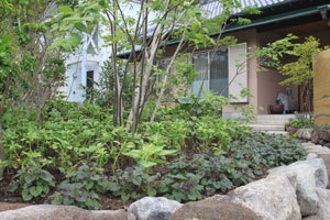 施工事例 No.148　お庭のリフォーム...