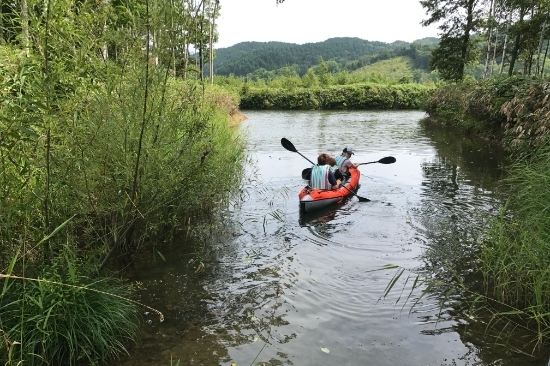 私たちの活動