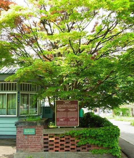 小樽市 坂牛邸 保存活動