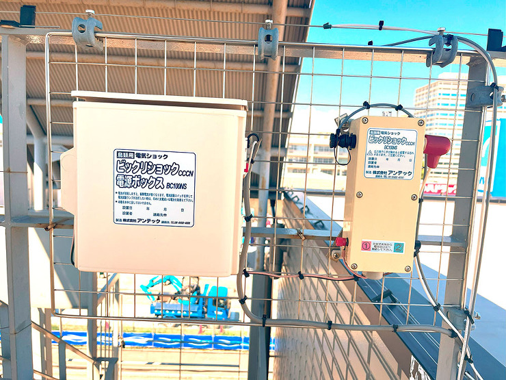 施工事例 | 鳥害対策専門のアンテック