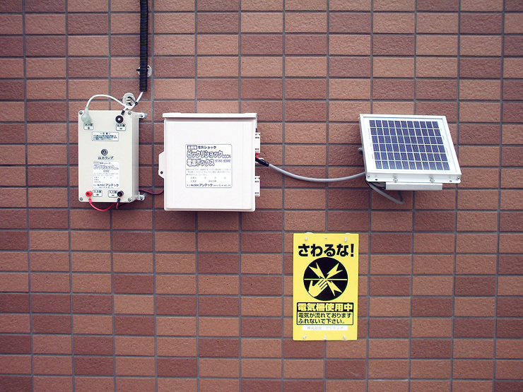 施工事例 | 鳥害対策専門のアンテック