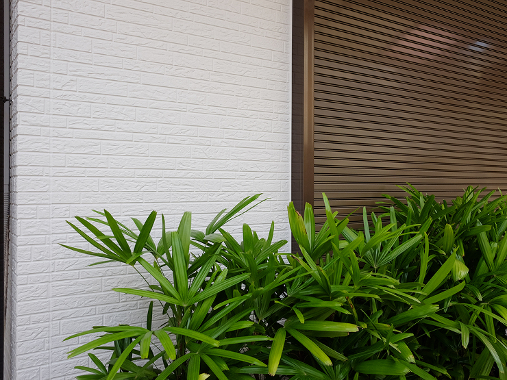施工事例 天窓から雨漏り！慌てて他社さん...